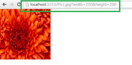 Resize Image using HttpHandler